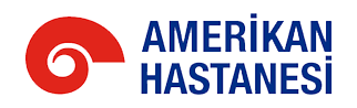 amerikan_logo